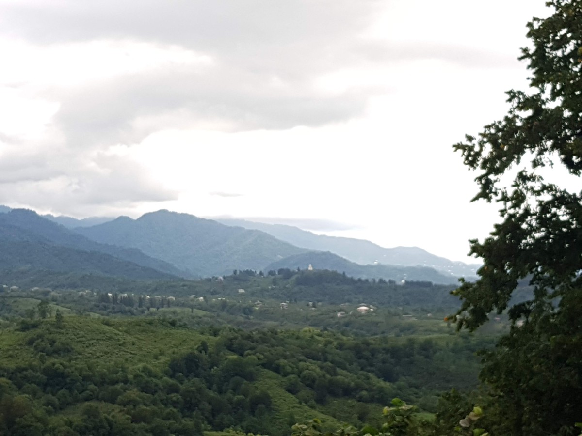 მაკვანეთი